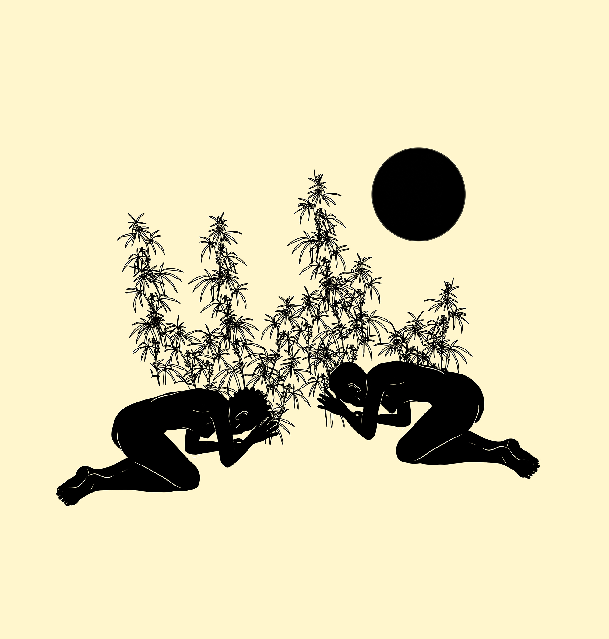 Uso sagrado da cannabis