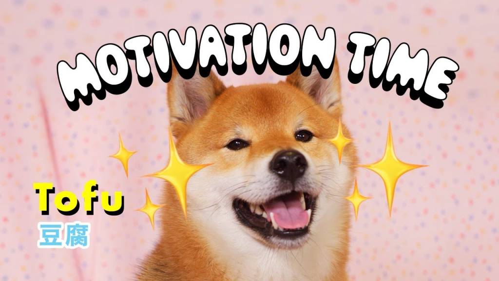 Elástica recomenda: cannabis, bolos simpáticos e novelas