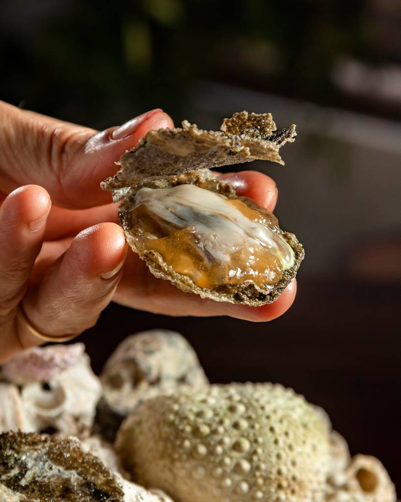 Restaurante Manga Ostra, sorvete de pimenta de cheiro, gel de tomate e maionese de ostra – os chefs reproduzem a casca da ostra usando amido de milho, pó de ostra e outros ingredientes, criando uma experiência realista.